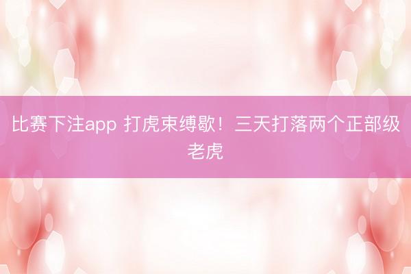 比赛下注app 打虎束缚歇！三天打落两个正部级老虎