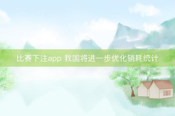 比赛下注app 我国将进一步优化销耗统计