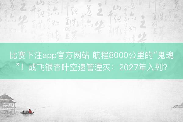 比赛下注app官方网站 航程8000公里的“鬼魂”！成飞银杏叶空速管湮灭：2027年入列？