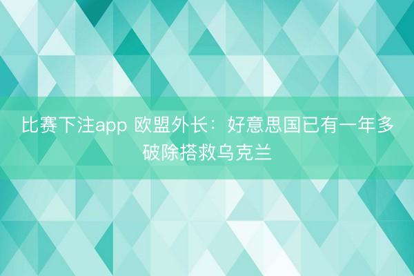 比赛下注app 欧盟外长：好意思国已有一年多破除搭救乌克兰