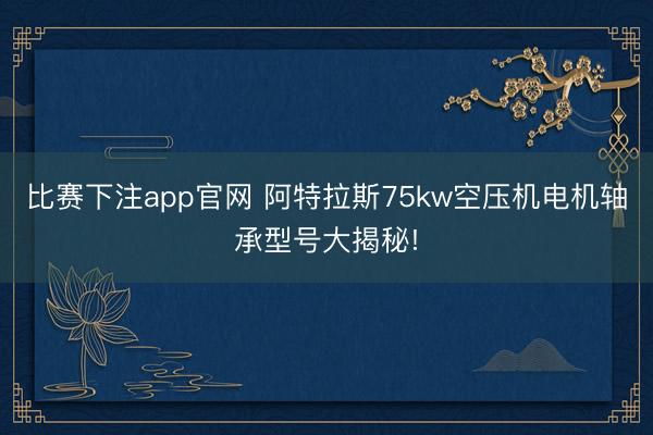 比赛下注app官网 阿特拉斯75kw空压机电机轴承型号大揭秘!