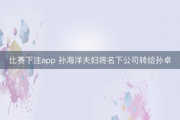 比赛下注app 孙海洋夫妇将名下公司转给孙卓