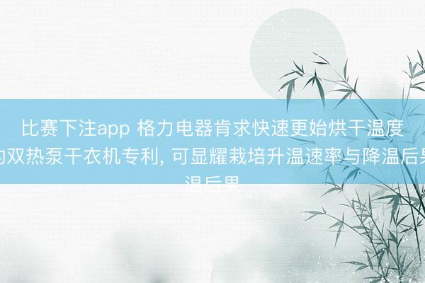 比赛下注app 格力电器肯求快速更始烘干温度的双热泵干衣机专利, 可显耀栽培升温速率与降温后果