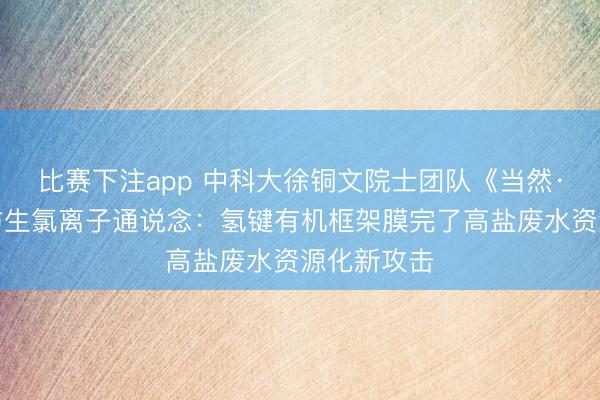 比赛下注app 中科大徐铜文院士团队《当然·通信》：仿生氯离子通说念：氢键有机框架膜完了高盐废水资源化新攻击