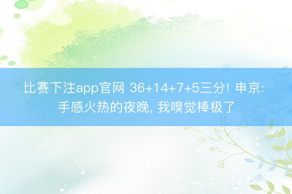比赛下注app官网 36+14+7+5三分! 申京: 手感火热的夜晚, 我嗅觉棒极了