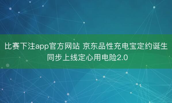 比赛下注app官方网站 京东品性充电宝定约诞生 同步上线定心用电险2.0