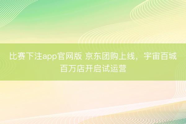 比赛下注app官网版 京东团购上线,宇宙百城百万店开启试运营