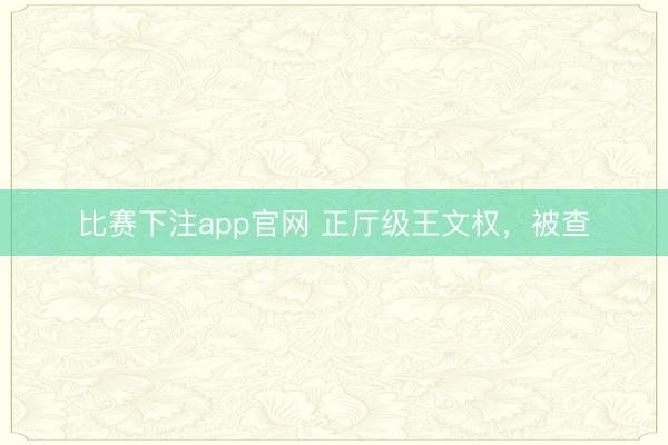 比赛下注app官网 正厅级王文权,被查