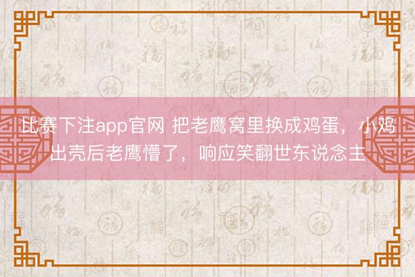 比赛下注app官网 把老鹰窝里换成鸡蛋，小鸡出壳后老鹰懵了，响应笑翻世东说念主