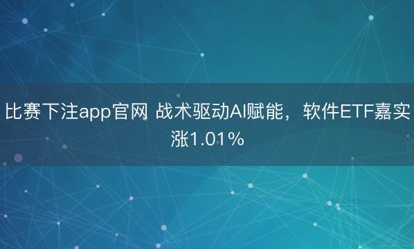 比赛下注app官网 战术驱动AI赋能,软件ETF嘉实涨1.01%