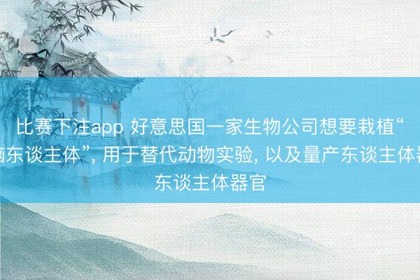 比赛下注app 好意思国一家生物公司想要栽植“无脑东谈主体”， 用于替代动物实验， 以及量产东谈主体器官