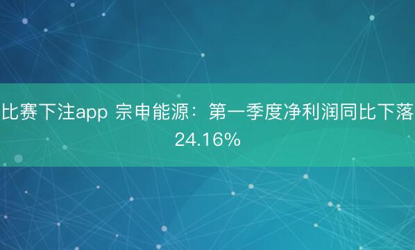 比赛下注app 宗申能源：第一季度净利润同比下落24.16%