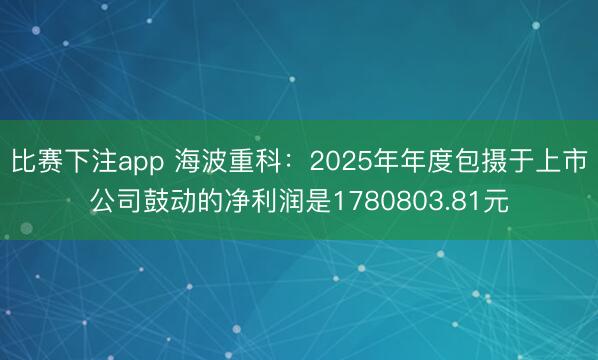 比赛下注app 海波重科：2025年年度包摄于上市公司鼓动的净利润是1780803.81元