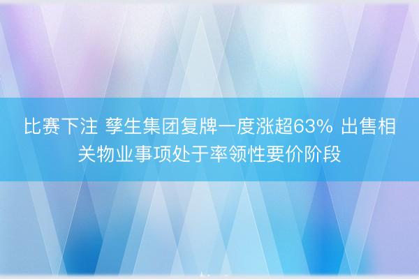 比赛下注 孳生集团复牌一度涨超63% 出售相关物业事项处于率领性要价阶段