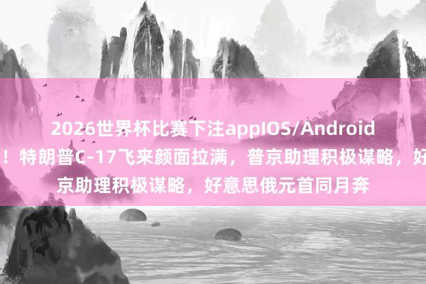 2026世界杯比赛下注appIOS/Android手机版下载 看表示!特朗普C-17飞来颜面拉满,普京助理积极谋略,好意思俄元首同月奔