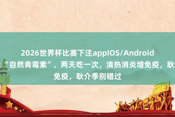 2026世界杯比赛下注appIOS/Android手机版下载 “自然青霉素”,两天吃一次,清热消炎增免疫,耿介季别错过