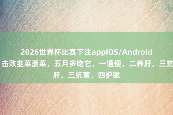 2026世界杯比赛下注appIOS/Android手机版下载 击败韭菜菠菜,五月多吃它,一通便,二养肝,三抗菌,四护眼