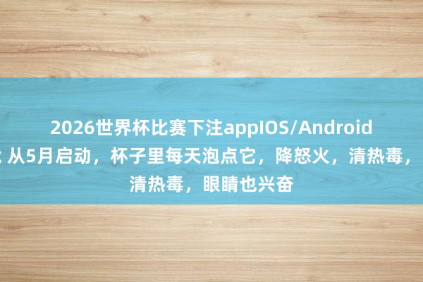2026世界杯比赛下注appIOS/Android手机版下载 从5月启动,杯子里每天泡点它,降怒火,清热毒,眼睛也兴奋