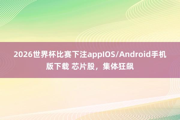 2026世界杯比赛下注appIOS/Android手机版下载 芯片股，集体狂飙