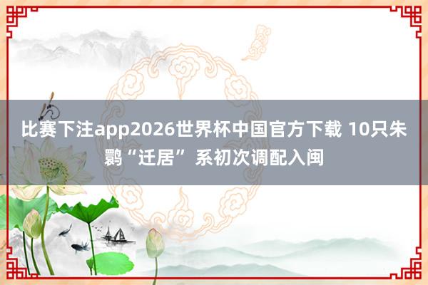 比赛下注app2026世界杯中国官方下载 10只朱鹮“迁居” 系初次调配入闽