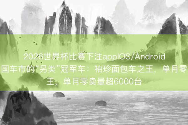2026世界杯比赛下注appIOS/Android手机版下载 中国车市的“另类”冠军车:袖珍面包车之王,单月零卖量超6000台