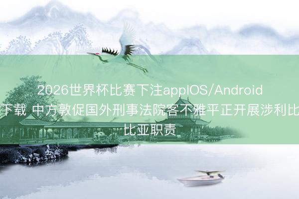 2026世界杯比赛下注appIOS/Android手机版下载 中方敦促国外刑事法院客不雅平正开展涉利比亚职责