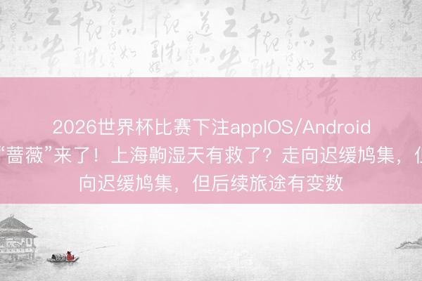 2026世界杯比赛下注appIOS/Android手机版下载 台风“蔷薇”来了！上海齁湿天有救了？走向迟缓鸠集，但后续旅途有变数