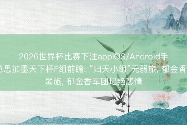 2026世界杯比赛下注appIOS/Android手机版下载 好意思加墨天下杯F组前瞻: “归天小组”无弱旅， 郁金香军团圮绝悲情
