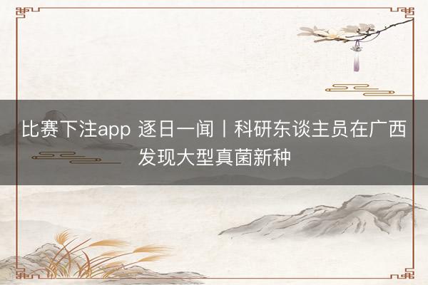 比赛下注app 逐日一闻丨科研东谈主员在广西发现大型真菌新种